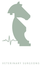 Tower Equine 